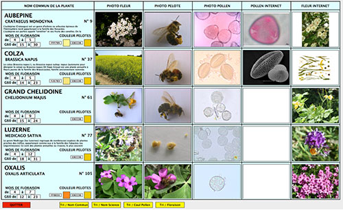 Nuancier des pollens et éphéméride - fiche A4